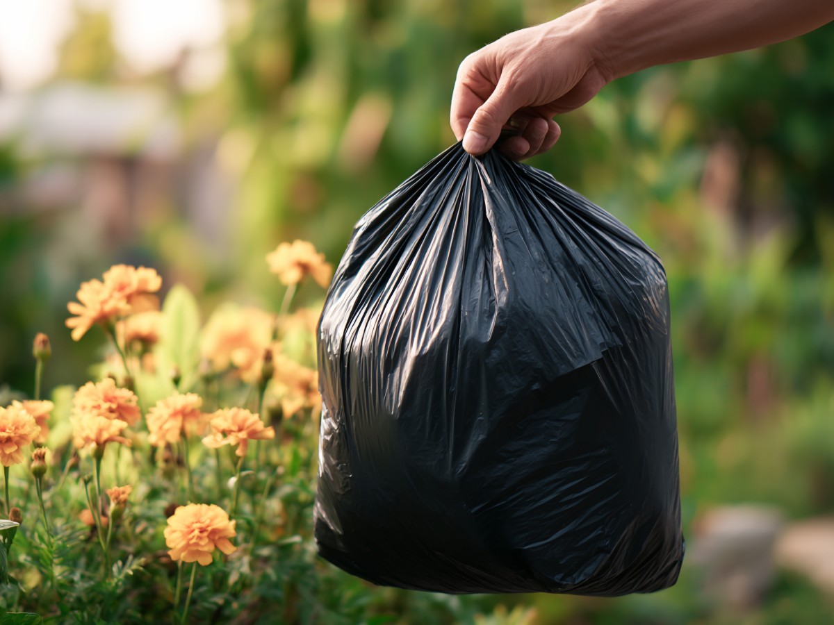 Dachrinnenreinigung Fachgerechte Entsorgung