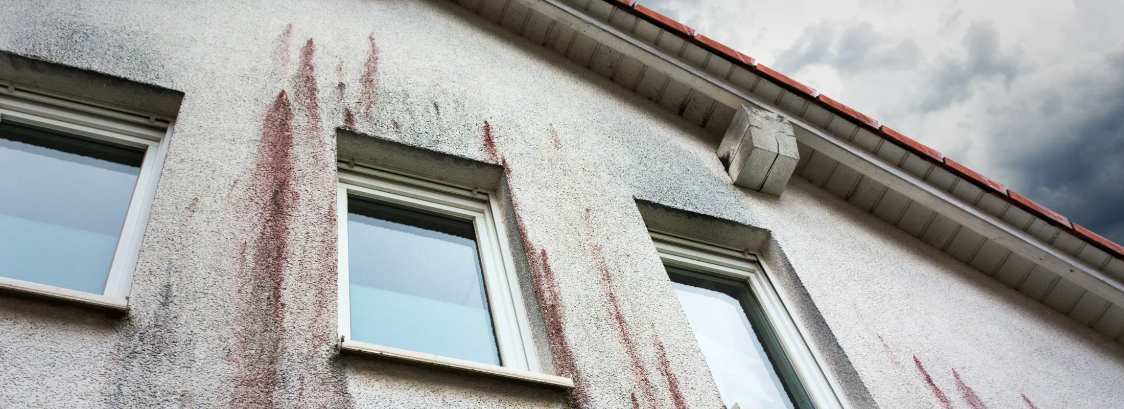 Algen an der Fassade und Verfärbungen durch Feuchtigkeit vor der Fassadenreinigung<br />
